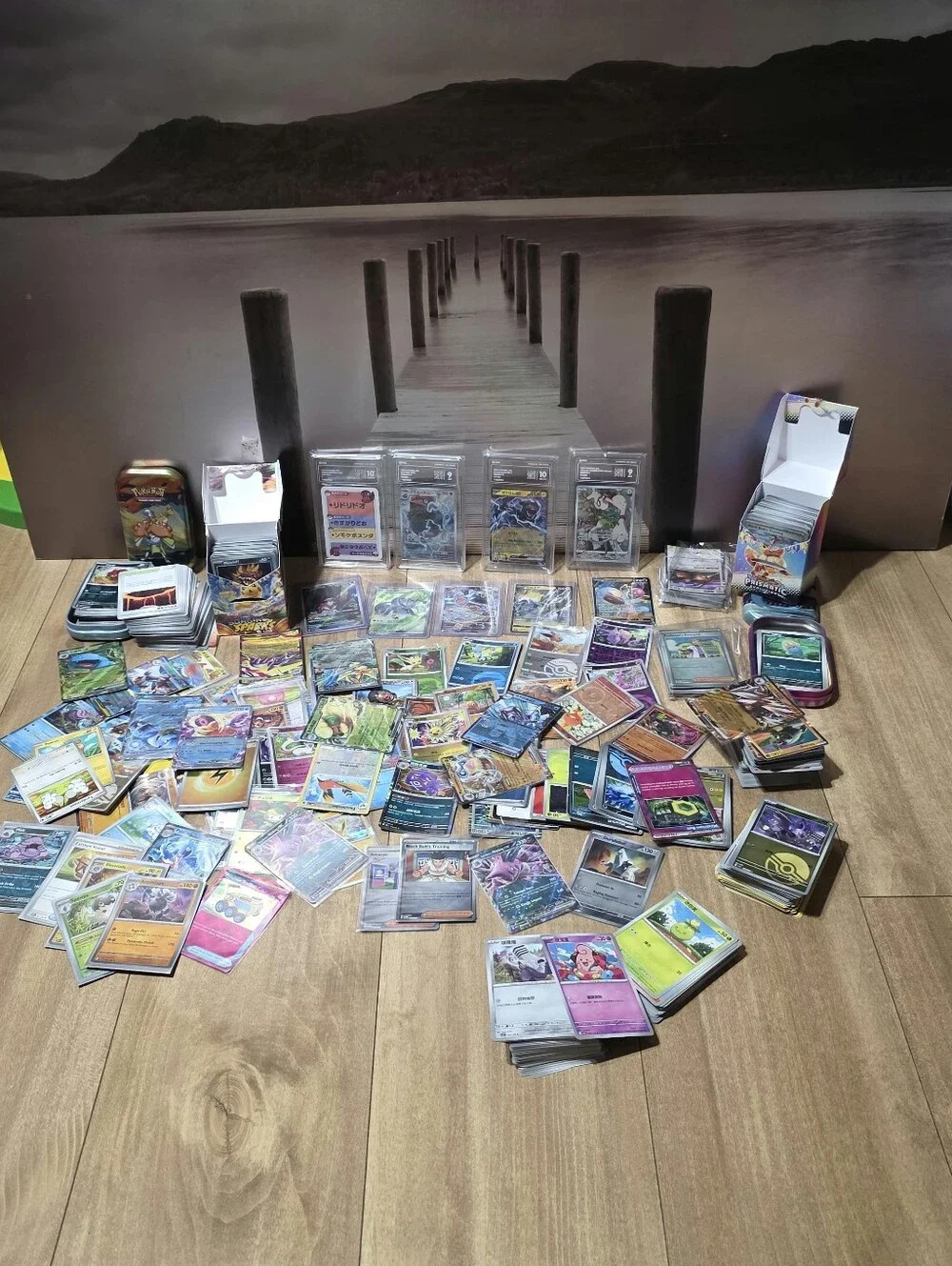 Pokemon large lot